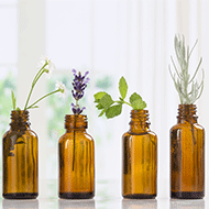 Essential Oils for Health: Online Webinars for Stress Relief and Immunity Boost